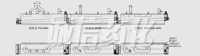 DWC Series Dryer for Vegetable Dehydration