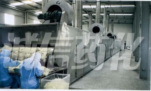 DWC Series Dryer for Vegetable Dehydration