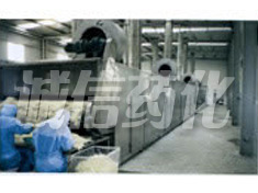 DWC Series Dryer for Vegetable Dehydration