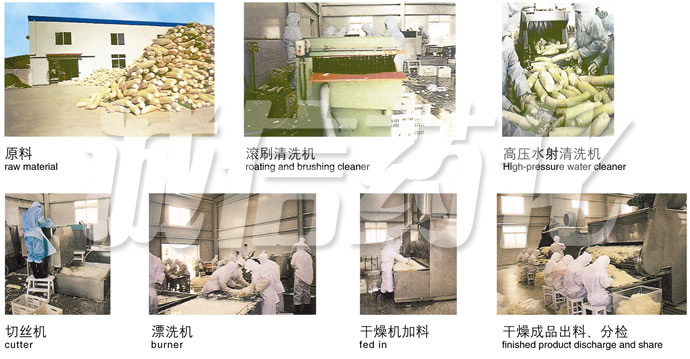 DWC系列脱水蔬菜带式干燥机